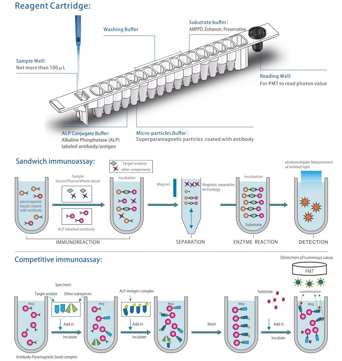 Mini-CLIA-TORCH-Reagents